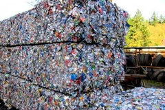 Ảnh minh họa. (Nguồn: inhabitat.com) 