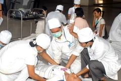 (Ảnh minh họa: Hữu Oai/TTXVN)