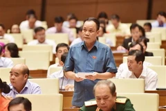 Đại biểu Quốc hội tỉnh Kon Tum Rơ Chăm Long phát biểu. (Ảnh: Lâm Khánh/TTXVN)