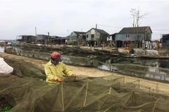 Cư dân chài lưới trên vùng đầm phá Tam Giang. (Ảnh: Hồ Cầu/TTXVN)