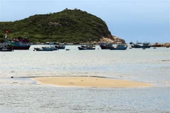Bãi bồi nổi lên mặt nước tại vịnh Vĩnh Hy mỗi khi thủy triều xuống. (Ảnh: Công Thử/TTXVN)