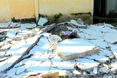 Ảnh chỉ có tính minh họa. (Ảnh: Lê Thúy Hằng/TTXVN)