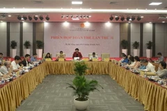 Quang cảnh phiên họp. (Ảnh: Đinh Văn Nhiều/TTXVN)