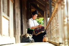 (Ảnh minh họa: Phan Tuấn Anh/TTXVN)