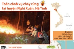 Toàn cảnh vụ cháy rừng tại huyện Nghi Xuân, Hà Tĩnh