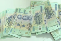 (Ảnh minh họa: Thế Duyệt/TTXVN)