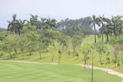 (Ảnh minh họa: Ninh Đức Phương/TTXVN)