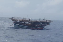 (Ảnh minh họa: TTXVN phát)