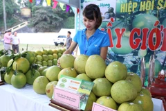 Sản phẩm bưởi Đoan Hùng trưng bày tại hội chợ. (Ảnh: Vũ Sinh/TTXVN)