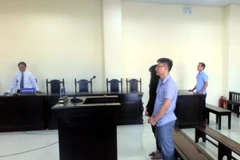 Các bị cáo tại phiên tòa xét xử. (Ảnh: TTXVN phát)