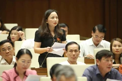 Đại biểu Quốc hội tỉnh Thanh Hóa Cầm Thị Mẫn phát biểu ý kiến. (Ảnh: Doãn Tấn/TTXVN)