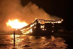 (Ảnh minh họa: Đoàn Hữu Trung/TTXVN)