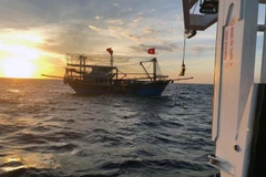 Các tàu cá phối hợp tìm kiếm cứu nạn. (Ảnh: Hoàng Ngọc/TTXVN)