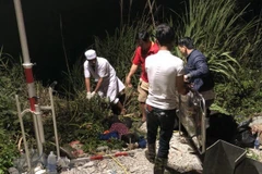 Đưa nạn nhân đi cấp cứu tại hiện trường vụ tai nạn. (Ảnh: Cao Nguyên/TTXVN)