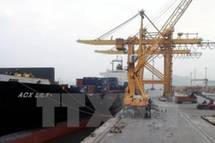 Ảnh minh họa. (Nguồn: TTXVN)