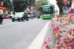 Tuyến buýt nhanh BRT01 có lộ trình Yên Nghĩa-Kim Mã ngày càng tăng về sản lượng hành khách. (Ảnh: Thi Uyên/Vietnam+)