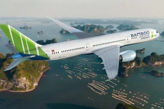 Máy bay của hãng hàng không Bamboo Airways. (Nguồn: Tập đoàn FLC)