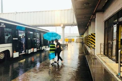 Nhân viên phục vụ mặt đất Vietnam Airlines cầm ô che cho hành khách khi lên xe ôtô, tránh bị mưa tại sân bay Tân Sơn Nhất. (Ảnh: Anh Tuấn/VNA)