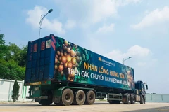 Theo kế hoạch, Vietnam Airlines sẽ phục vụ nhãn lồng Hưng Yên trên hơn 70 đường bay nội địa và quốc tế. (Ảnh: VNA cung cấp)