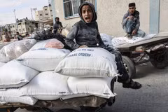 WFP đặt mục tiêu hỗ trợ lương thực cho 800.000 người Palestine