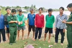 Các thuyền viên bị nạn sau khi được đưa vào bờ an toàn. (Ảnh: Hồng Đào/TTXVN phát)