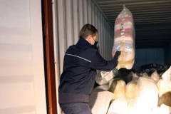 Cảnh sát Bỉ bắt giữ một vụ vận chuyển ma túy vào nước này. (Nguồn: Getty Images)