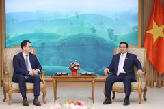 Thủ tướng Phạm Minh Chính tiếp Bộ trưởng Kinh tế, Doanh nghiệp và Du lịch Romania Stefan-Radu Oprea. (Ảnh: Dương Giang/TTXVN)