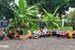 Triệt xóa tụ điểm đánh bạc giữa cánh đồng hoang ở Đồng Nai