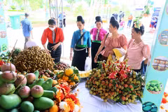 Thành lập Trung tâm Xúc tiến Đầu tư, Thương mại và Du lịch tỉnh Sơn La