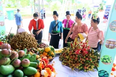 Thành lập Trung tâm Xúc tiến Đầu tư, Thương mại và Du lịch tỉnh Sơn La