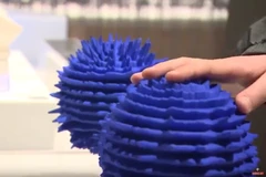 [Video] Độc đáo triển lãm kích hoạt 5 giác quan có một không hai 