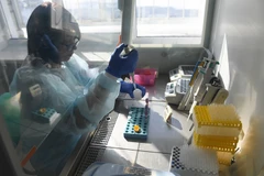 Nhiều ứng dụng mới trong lĩnh vực nghiên cứu về y tế. (Nguồn: TASS)