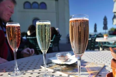 [Video] Những đồ uống có cồn thích hợp trong chế độ ăn kiêng Keto