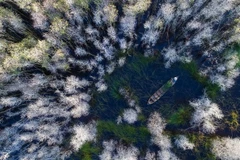 [Video] Việt Nam lọt danh sách giải thưởng Ảnh Siena quốc tế 2018