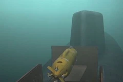 (Nguồn: thediplomat.com)