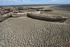 Hồ Chilwa khô cạn trơ đáy. (Nguồn: AFP)