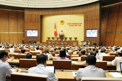  Đại biểu Quốc hội thảo luận ở hội trường. (Ảnh: Văn Điệp/TTXVN) 