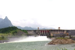 (Ảnh: Văn Tý/TTXVN)