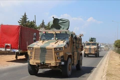 (Nguồn: aa.com.tr)