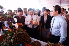  Phó Thủ tướng Vương Đình Huệ và các đại biểu tham quan gian hàng trưng bày sản phẩm nông sản Hưng Yên. (Ảnh: Phạm Kiên/TTXVN)