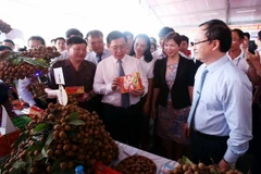  Phó Thủ tướng Vương Đình Huệ và các đại biểu tham quan gian hàng trưng bày sản phẩm nông sản Hưng Yên. (Ảnh: Phạm Kiên/TTXVN)