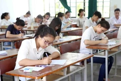 Ảnh minh họa. (Nguồn: TTXVN)