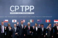 Bộ trưởng Công thương Trần Tuấn Anh (phải) cùng đại diện 10 nước tham gia lễ ký Hiệp định CPTPP chụp ảnh chung tại hội nghị ở Santiago ngày 8/3. (Nguồn: AFP/TTXVN)