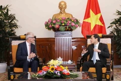 Thứ trưởng Thường trực Bộ Ngoại giao Bùi Thanh Sơn (phải) tiếp Thủ hiến vùng Flanders Vương Quốc Bỉ Geert Bourgeois. (Ảnh: Phương Hoa/TTXVN)