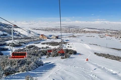 (Nguồn: dailysabah.com)