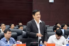 Đại biểu phát biểu tại hội thảo. (Ảnh: Nguyễn Sơn/TTXVN)