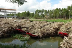 Các ghe mía chờ đưa vào nhà máy để ép. (Ảnh: Thanh Hòa/TTXVN)