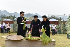 Bà con lựa chọn lúa để làm cốm. (Ảnh: Văn Tý/TTXVN)