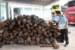 Tang vật gỗ trắc trái phép bị thu giữ. Ảnh minh họa. (Nguồn: TTXVN)