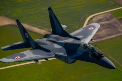  Máy bay MiG-29 của Không lực Ba Lan trình diễn tại căn cứ không quân Siauliai ở Litva ngày 15/5/2014. (Nguồn: EPA/TTXVN)